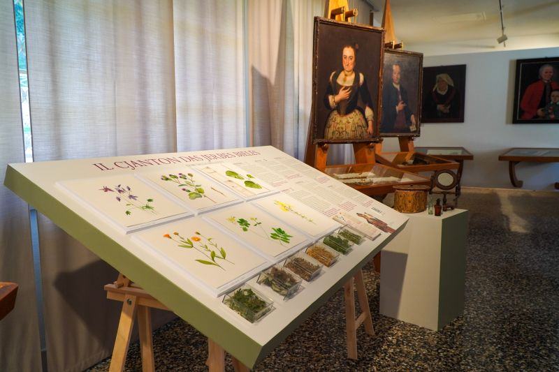 storie di erbe2